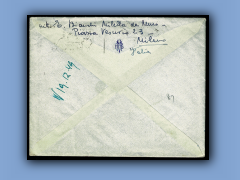202-111b.jpg