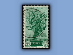 202-139a.jpg