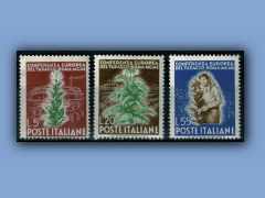 202-179a.jpg