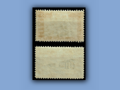 202-211b.jpg