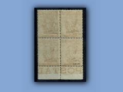 202-247b.jpg