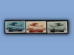 202-336a.jpg