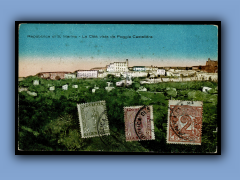 202-371a.jpg