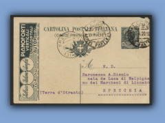 202-462a.jpg