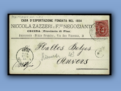 202-513a.jpg