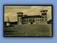 202-516b.jpg